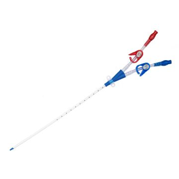 Hemodialysis catheter kit 12 FR, 2 lumen, straight, 20 cm